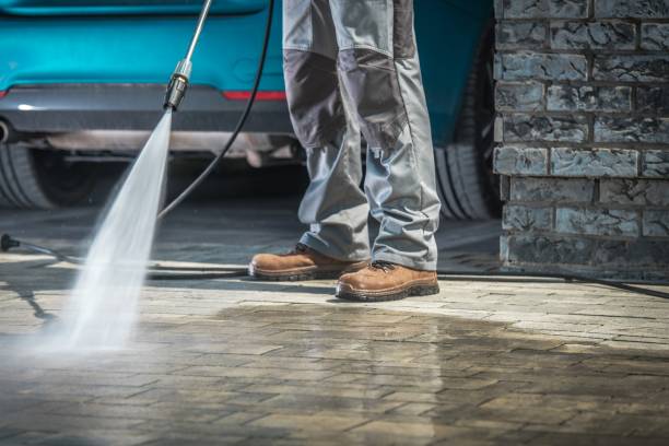 Best Warehouse Cleaning  in Ardia, CA