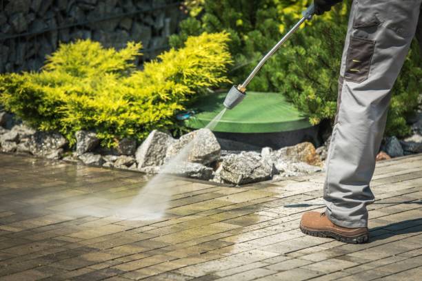 Best Gutter Cleaning  in Ardia, CA