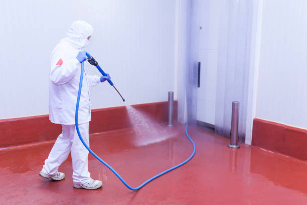 Best Post-Construction Pressure Washing  in Ardia, CA