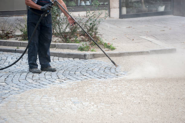 Best Dumpster Area Cleaning  in Ardia, CA