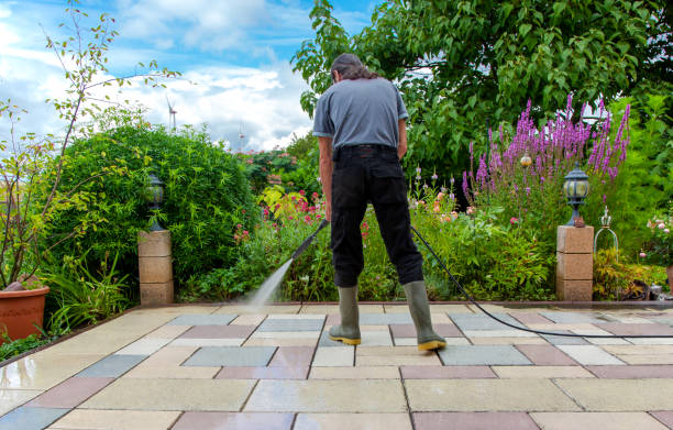 Reliable Arcadia, CA Pressure Washing Services Solutions