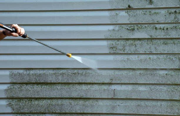 Best Driveway Pressure Washing  in Ardia, CA